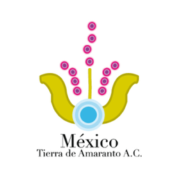 MEXICO TIERRA DE AMARANTO